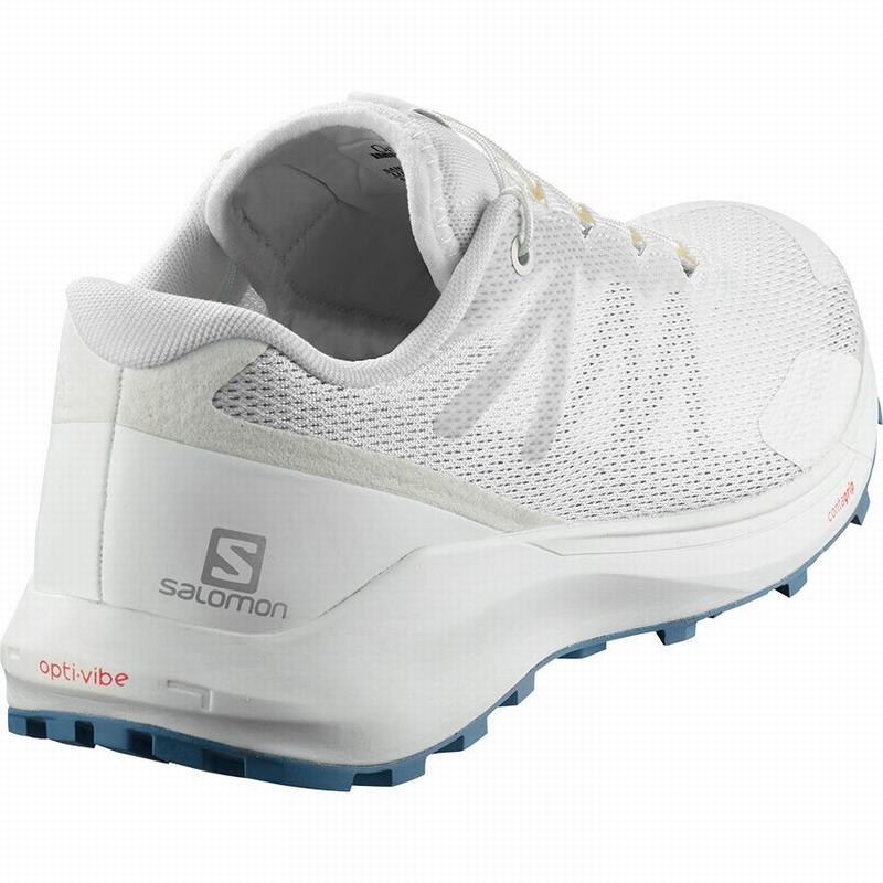 Salomon Sko Tilbud Salomon L besko Dame Salomon Sense Ride 3 W